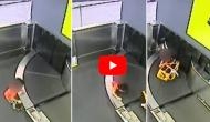 OMG! Narrow escape for toddler who climbs onto a baggage belt; watch hair-raising video