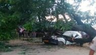 Nagaland: Two killed as tree falls on taxi in Dimapur