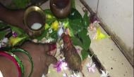 Bihar: People in Gaya claim Nandi idol drinking milk offered by devotees