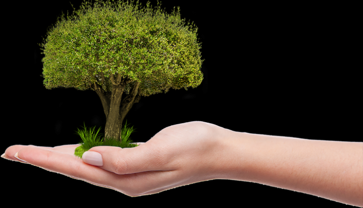 planting