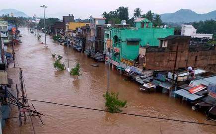 Odisha: Health Secy directs collectors to ensure assistance in rain hit districts