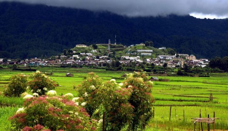 Zero Valley