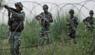 J&K: Army soldier killed in ceasefire violation by Pakistan
