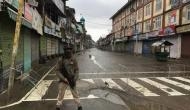 Normal life remains affected in Kashmir; some shops open in morning hours
