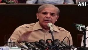 Scrapping of Article 370 by India unacceptable: Pakistan's Shehbaz Sharif
