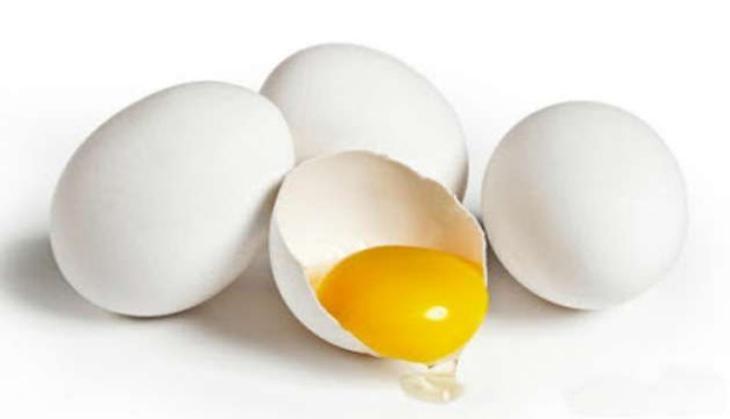 egg