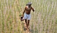 PM Modi calls on farmers to reduce pesticide use by 10-15 per cent