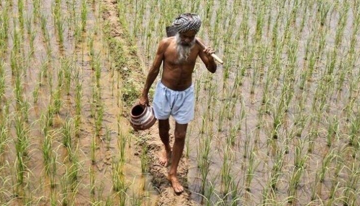 farmer