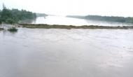 Andhra Pradesh: Puligadda bridge submerges after ten years owing to heavy rainfall