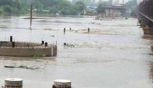Delhi: Water level in Yamuna crosses 'danger mark'