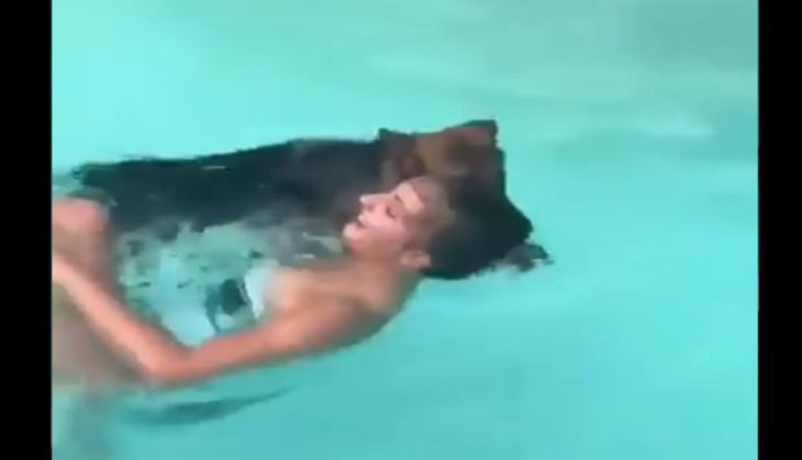 viral video