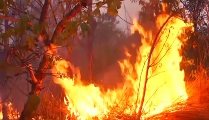 Forest fire in uttarakhand