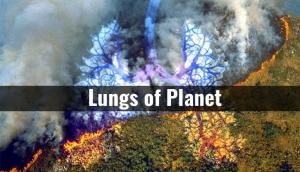 Amazon Fire: Urvashi Dholakia, Mahesh Babu, Arjun Bijlani, other celebs reacted over burning of rainforest