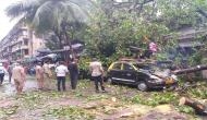 Maharashtra: Two injured after tree falls on Mumbai road