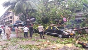 Maharashtra: Two injured after tree falls on Mumbai road