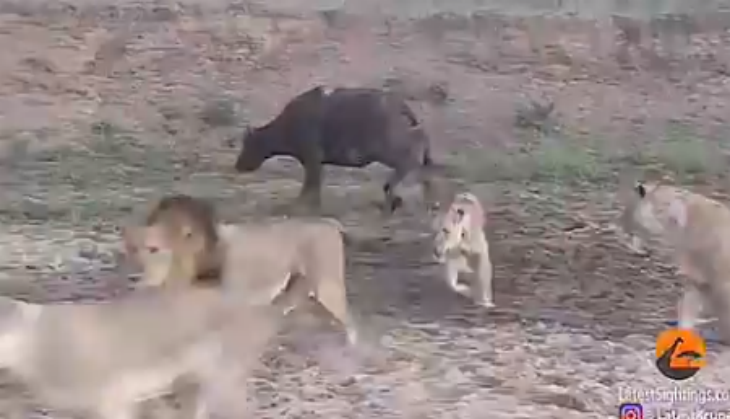 viral video