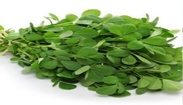 Greek clover