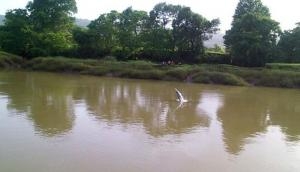 Maharashtra: 4 rivers cross danger mark in Raigad