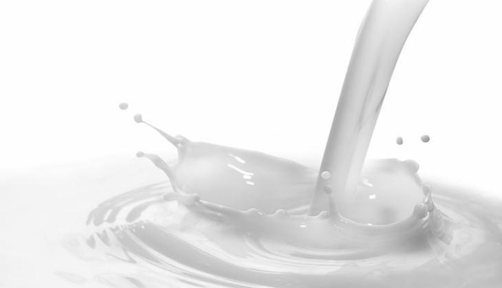 milk