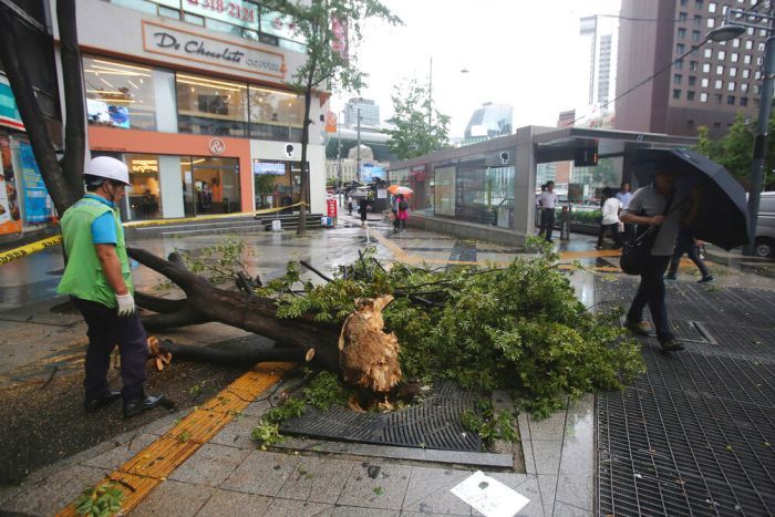 S.Korea recovers from damage caused by Typhoon Lingling