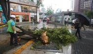 S.Korea recovers from damage caused by Typhoon Lingling