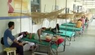 Uttarakhand: Doctors stress on early dengue diagnosis to curb death rate