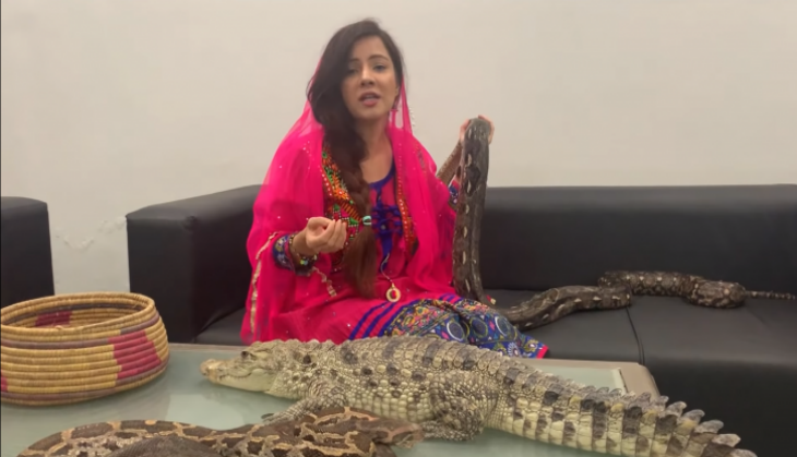 Rabi Pirzada