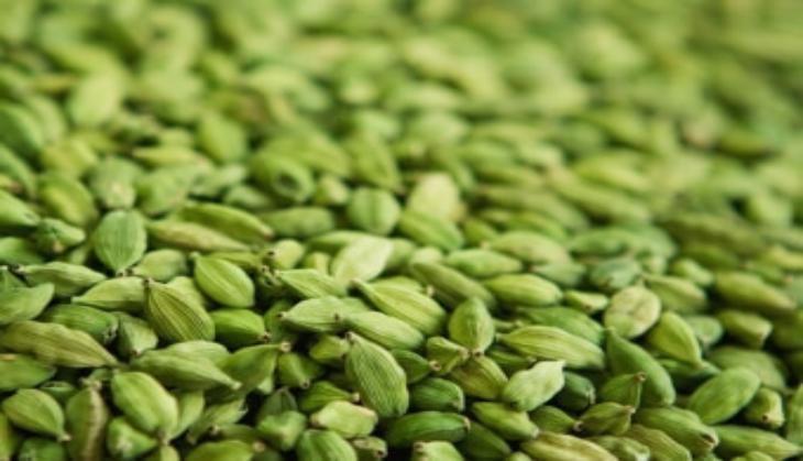 Cardamom