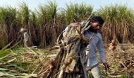 UP govt asks sugar mills to clear dues of farmers by Oct 31, warns action