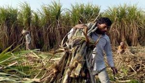 UP govt asks sugar mills to clear dues of farmers by Oct 31, warns action