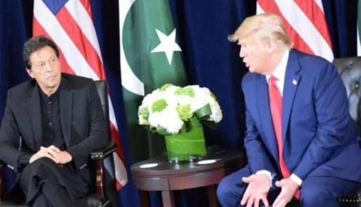 imran trump