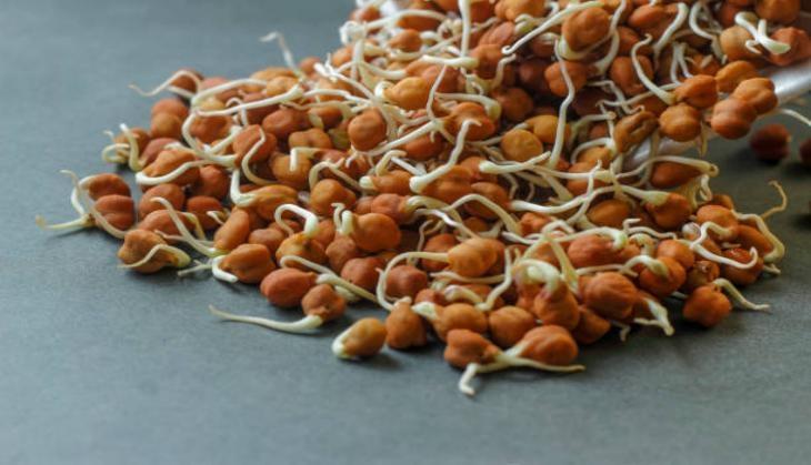 sprouted chana