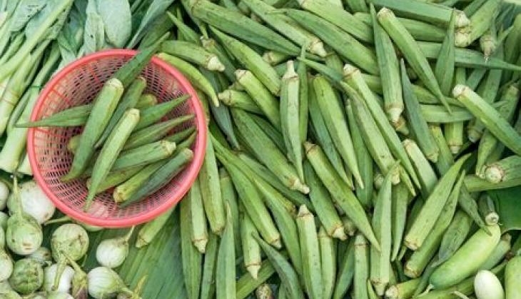 Ladyfinger
