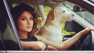 Jennifer Winget Birthday: 5 dialogues of Beyhadh's Maya will remind you of SRK's role in Darr