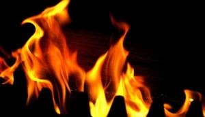 MP: Dalit man's shop torched over inter-caste marriage, 7 arrested 