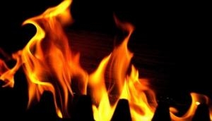 Punjab: 4 children charred to death after school van catches fire 