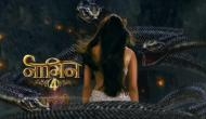 Naagin 4 Teaser Out: Ekta Kapoor gives glimpse of two mysterious serpents; fans left confused