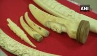 10 elephant tusks seized in Pune, man arrested