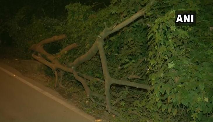 Opposition parties slam Shiv Sena, BJP for 'slaughter' of trees in Aarey