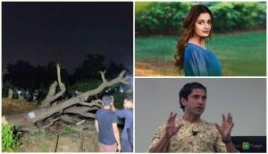 Aarey Protest: From Farhan Akhtar to Richa Chadha, these B-town stars show anger over slashing of trees