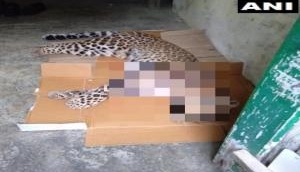 Uttarakhand: Man-eater leopard shot dead by forest officials in Pithoragarh