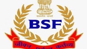 BSF seizes medicines, cosmetics worth Rs 23.25 lakhs being smuggled to Bangladesh  