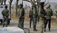 Republic Day Eve: Seven terrorist associates arrested in north Kashmir