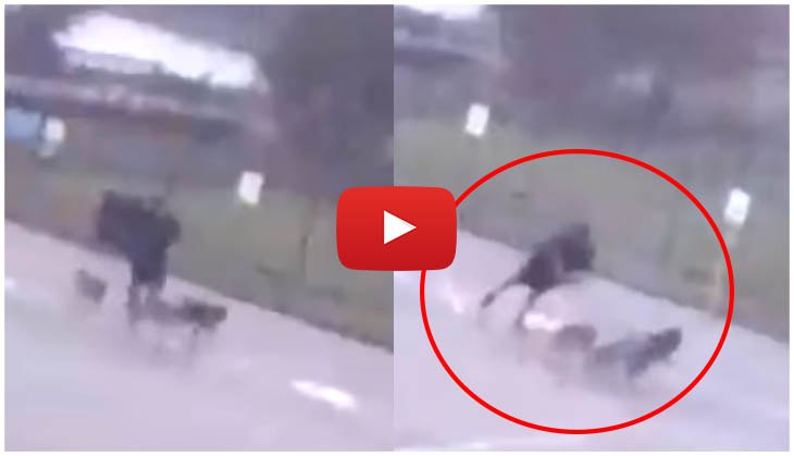 OMG! Man gets hit by lightning while walking his three dogs; video goes viral