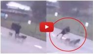 OMG! Man gets hit by lightning while walking his three dogs; video goes viral
