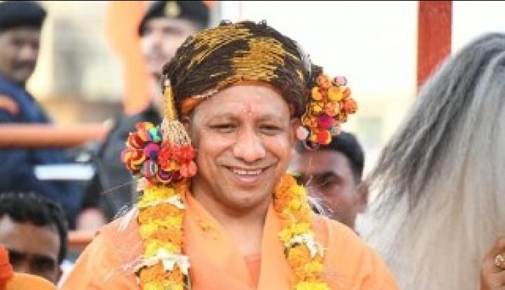 yogi