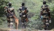 Punjab: Pakistan intruder killed by BSF personnel