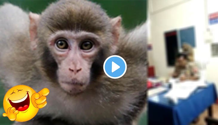 Monkey sits on Police officer’s shoulder in Police station; what he does next will tickle your funny bones!