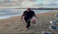 Watch: Leading by example, PM Modi cleans Mahabs sea beach