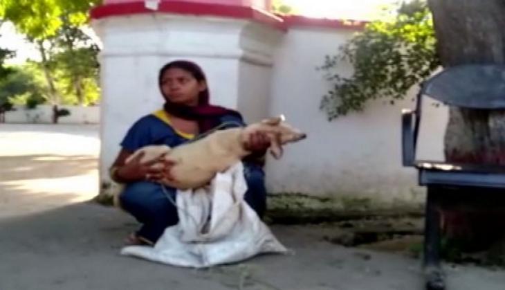 UP: Woman takes body of pet dog to police station as proof to complaint against neighbour